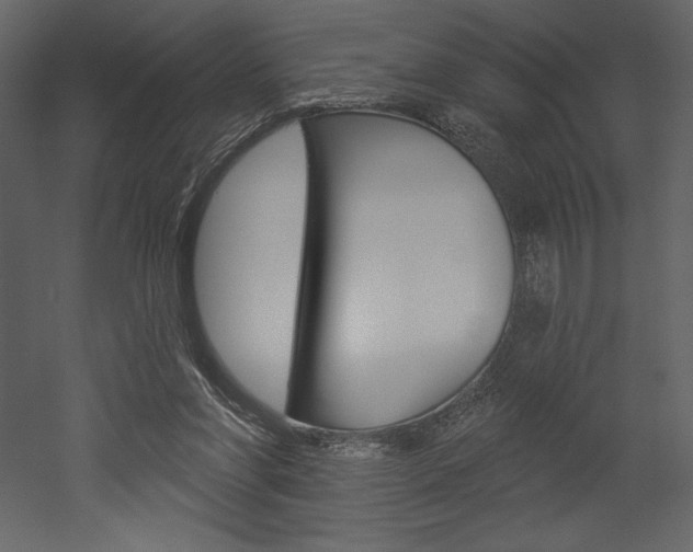 X0000053000206200507081004