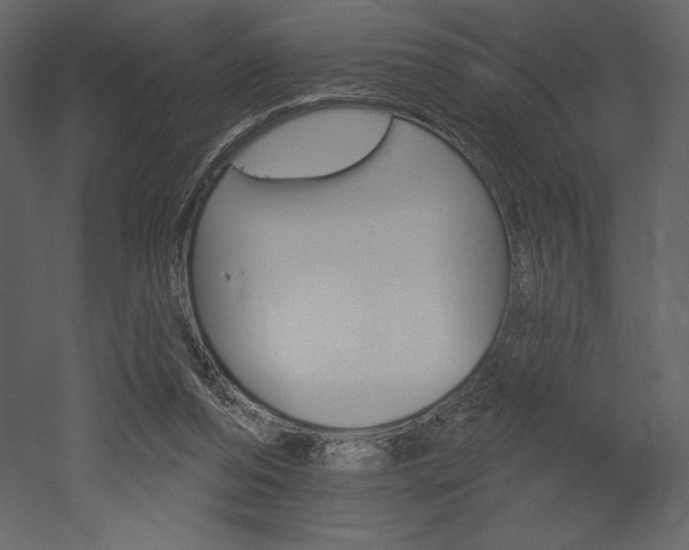 X0000053000208200507081004
