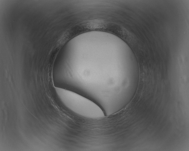 X0000053000210200507081004