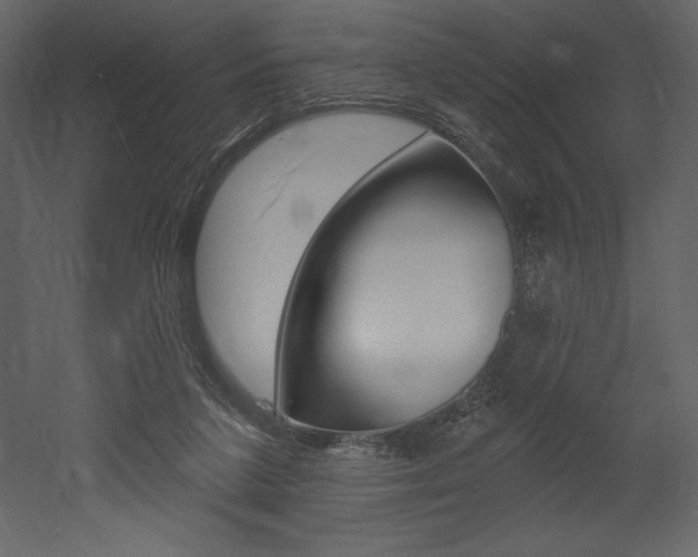 X0000053000211200507081004