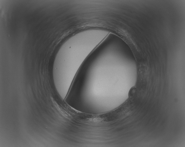 X0000053000212200507081004