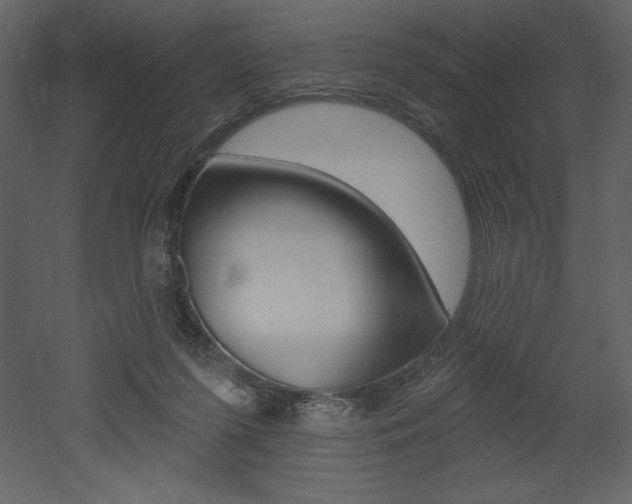 X0000053000215200507081004