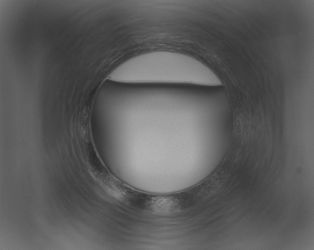 X0000053000218200507081004