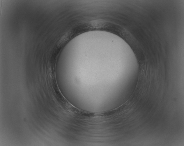 X0000053000220200507081004