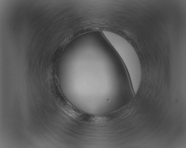 X0000053000221200507081004