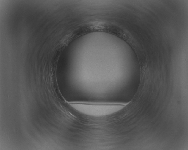 X0000053000223200507081003