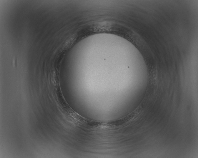 X0000053000224200507081003