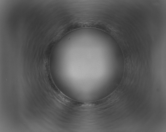 X0000053000225200507081003