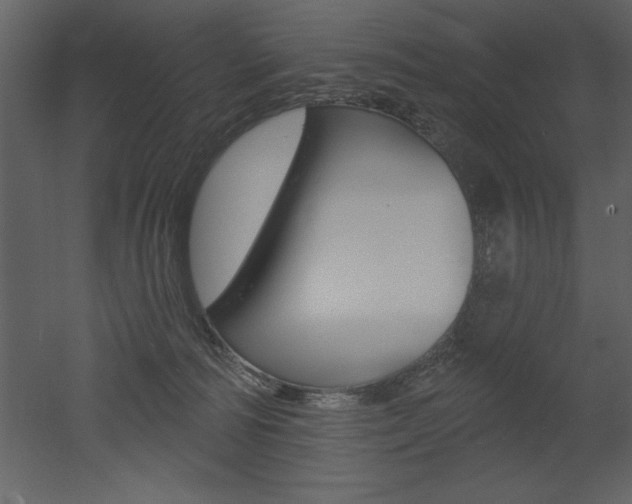 X0000053000226200507081003