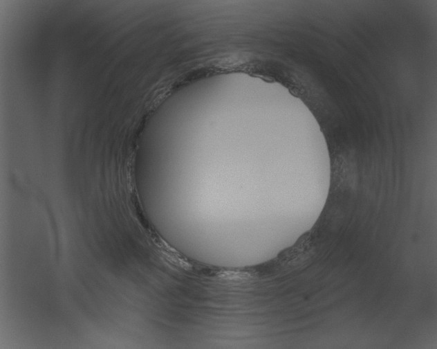 X0000053000234200507081003