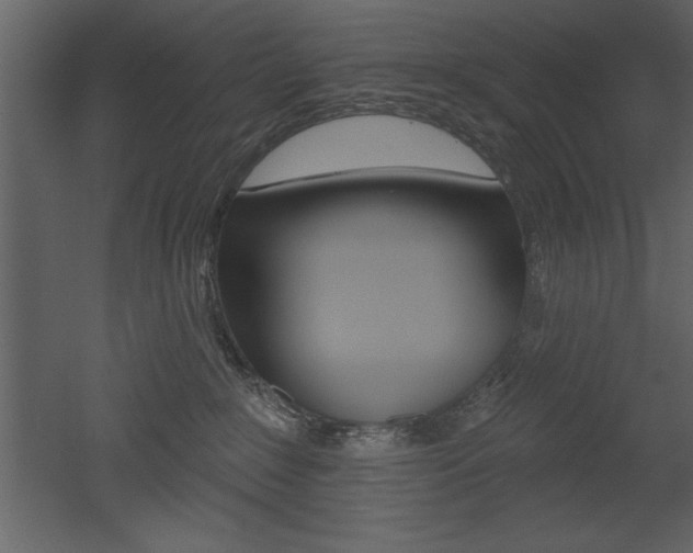 X0000053000235200507081003