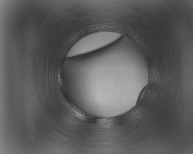 X0000053000238200507081003
