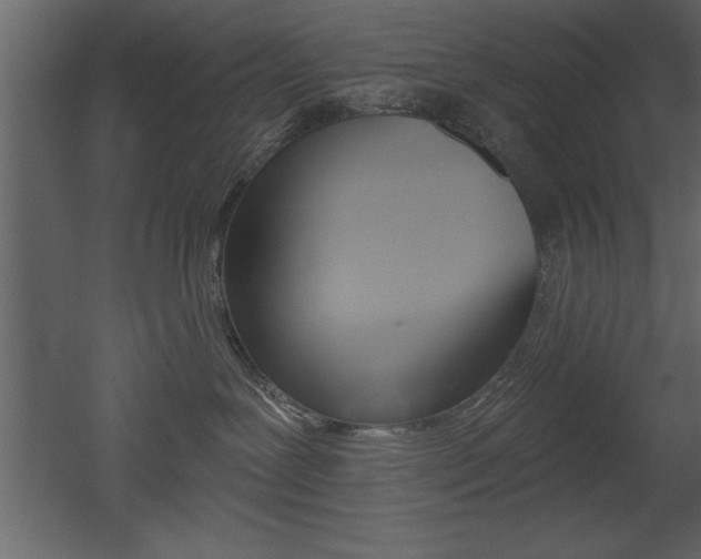 X0000053000239200507081003