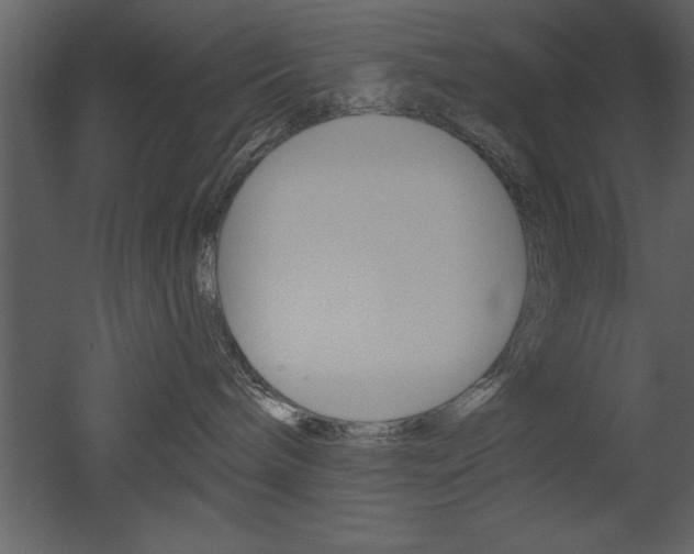 X0000053000240200507081003