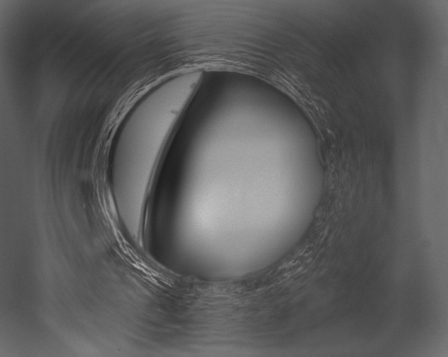X0000053000241200507081002
