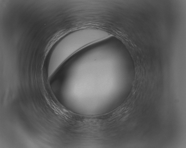 X0000053000242200507081002