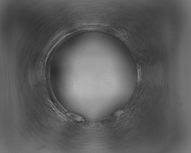 X0000053000243200507081002