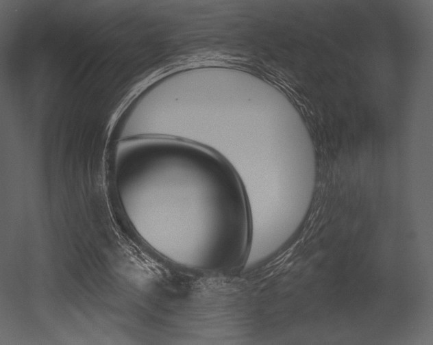 X0000053000244200507081002