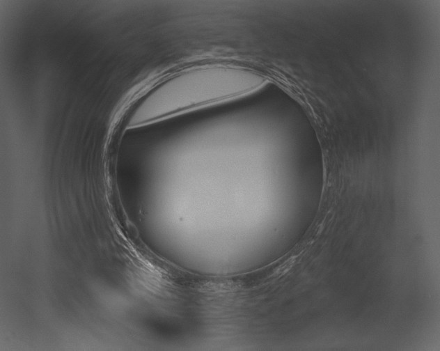 X0000053000245200507081002