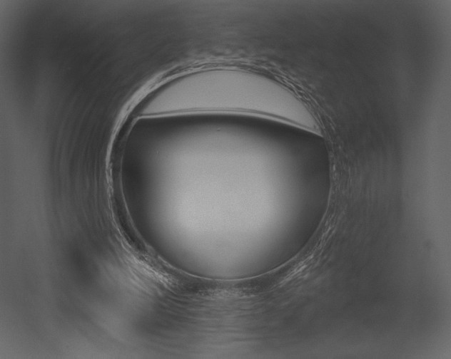 X0000053000246200507081002