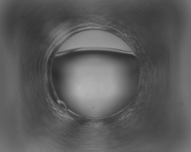 X0000053000247200507081002