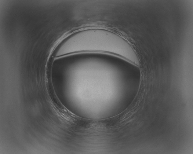 X0000053000248200507081002