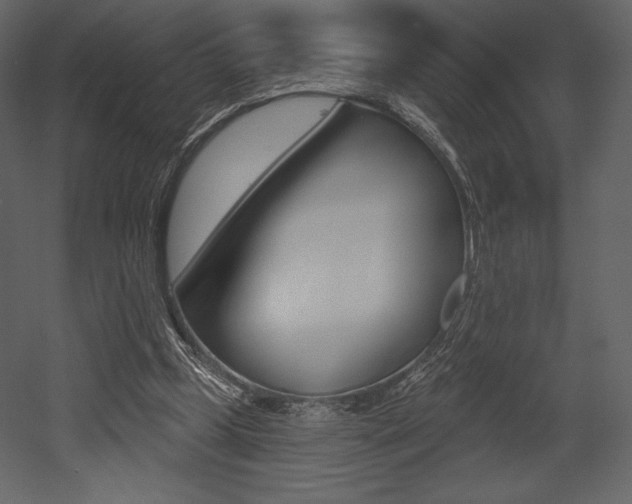 X0000053000249200507081003
