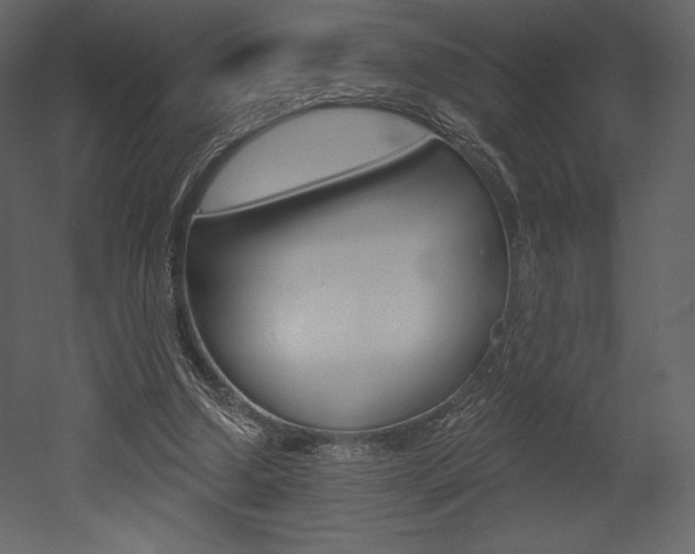 X0000053000250200507081003