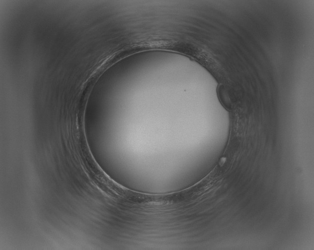X0000053000251200507081003