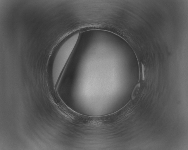 X0000053000252200507081003