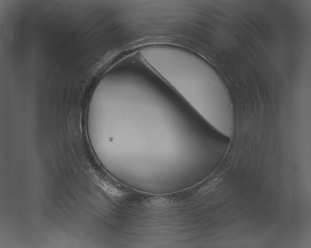 X0000053000253200507081003