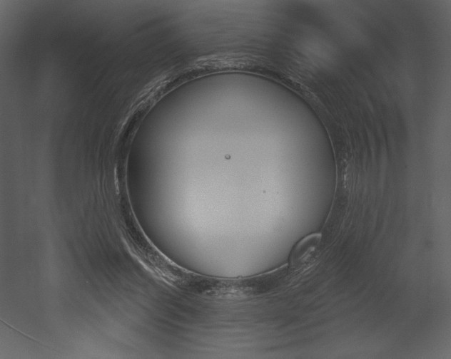 X0000053000254200507081003