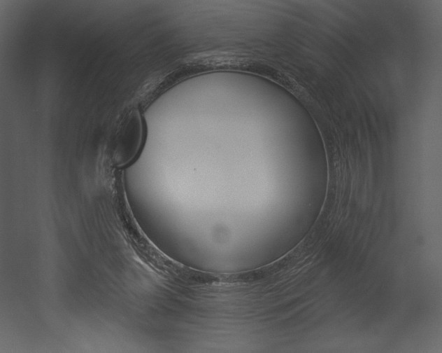 X0000053000255200507081003
