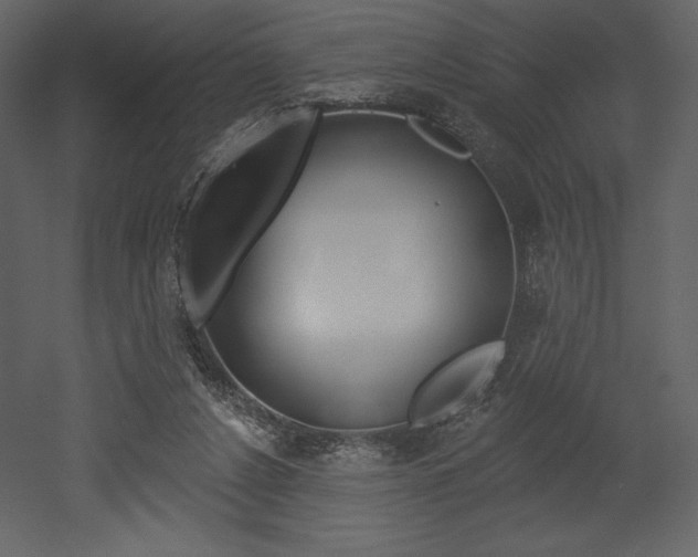 X0000053000256200507081003