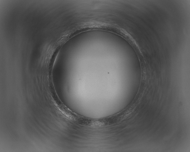 X0000053000257200507081003