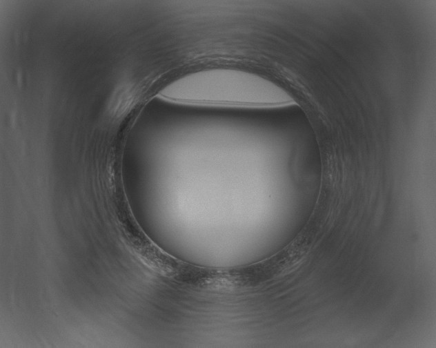 X0000053000259200507081003