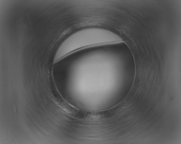 X0000053000260200507081003
