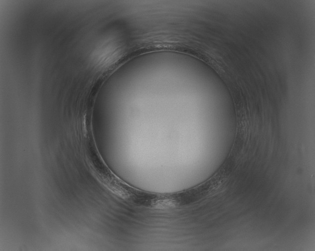 X0000053000262200507081003