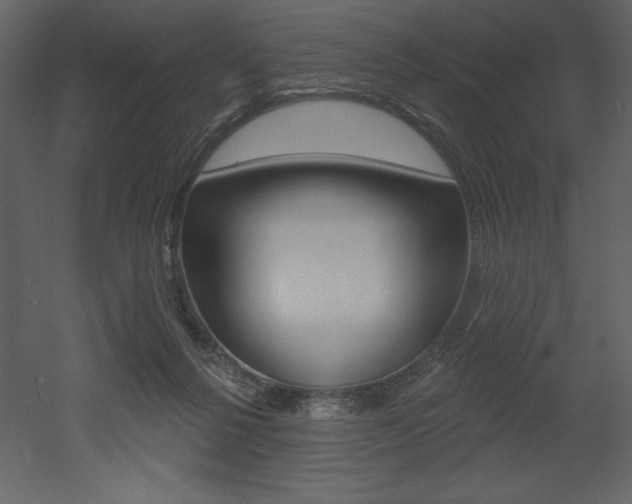 X0000053000264200507081003