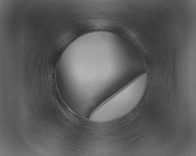 X0000053000265200507081003