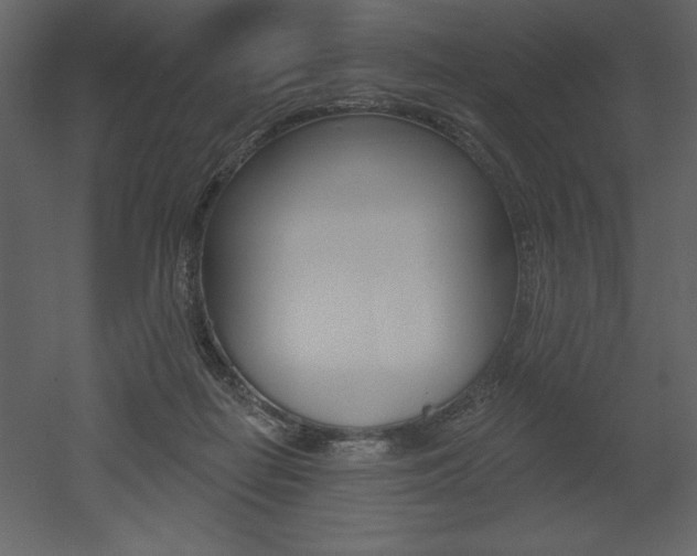 X0000053000266200507081003