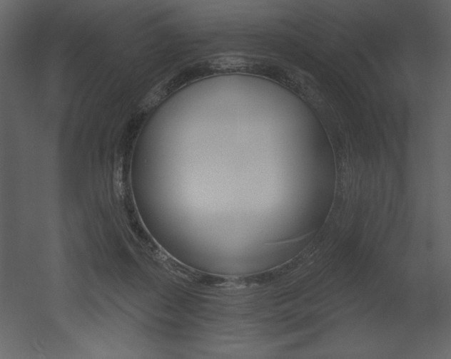 X0000053000267200507081003