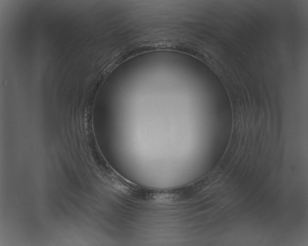 X0000053000268200507081003