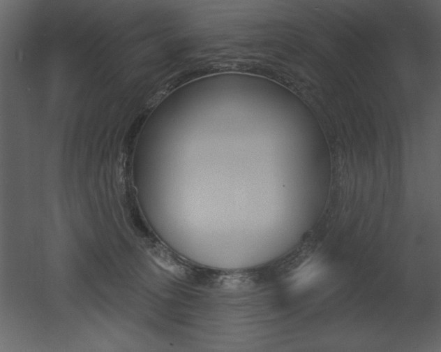 X0000053000275200507081003