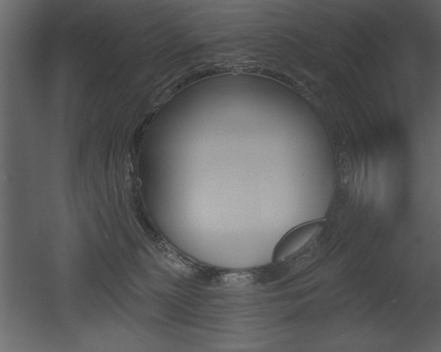 X0000053000279200507081003