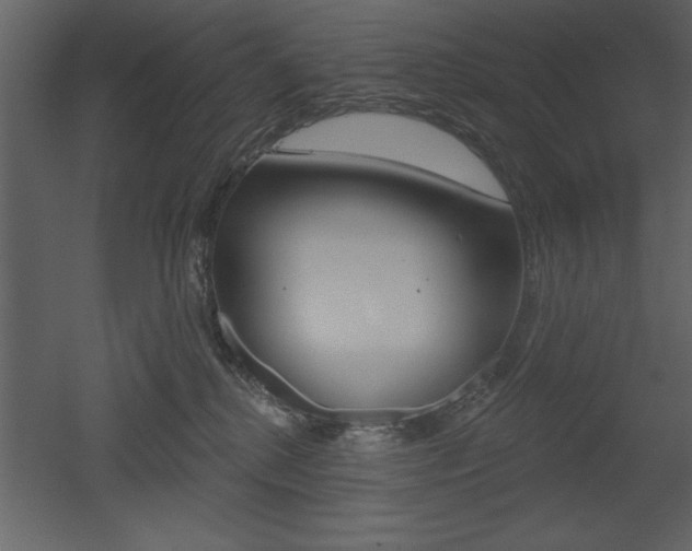X0000053000280200507081003