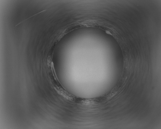 X0000053000284200507081003