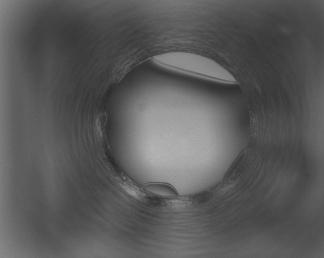 X0000053000286200507081003