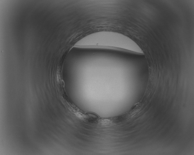 X0000053000287200507081003