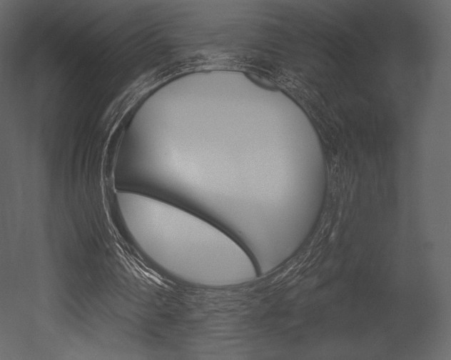 X0000053000290200507081002